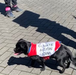 Climate activist pooch calling for Climate Action Now
