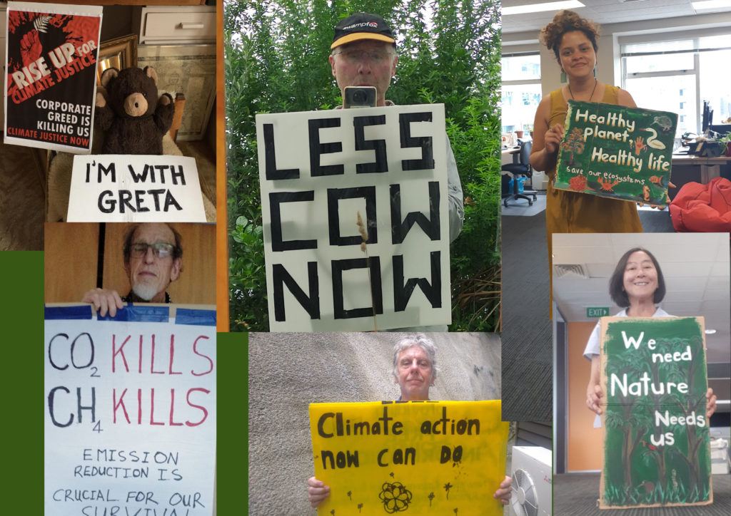 A montage of six climate protest selfies (in Wellington)